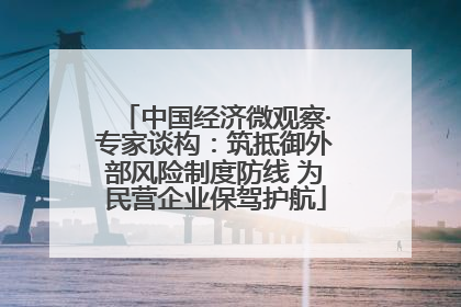 中国经济微观察·专家谈构：筑抵御外部风险制度防线 为民营企业保驾护航